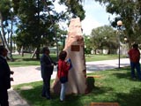 inauguracion jardin de piedras universidad de alicante